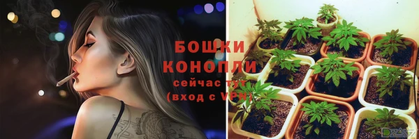 индика Нефтегорск