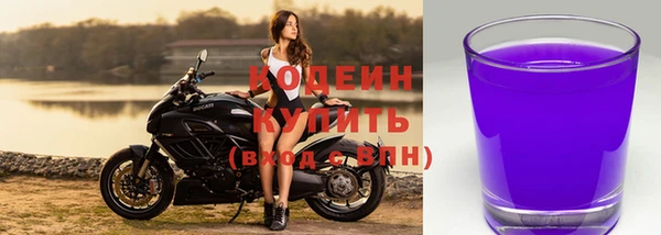 индика Нефтегорск