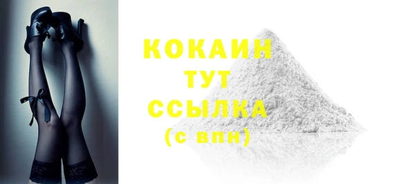 индика Нефтегорск