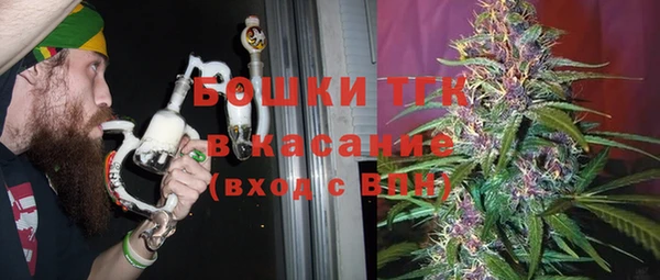 индика Нефтегорск
