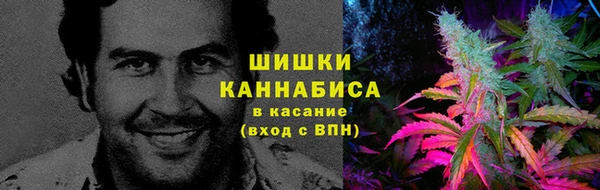 индика Нефтегорск
